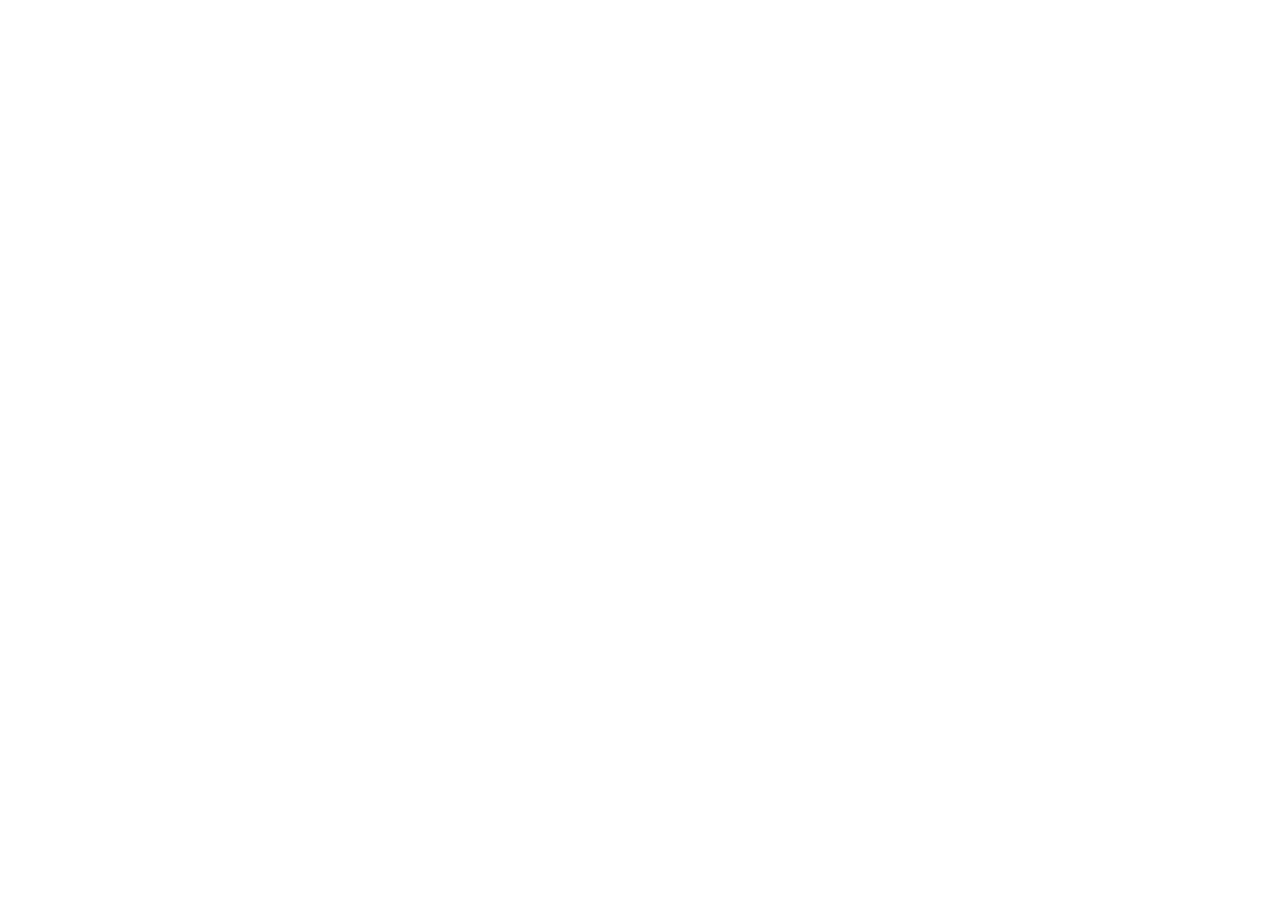 Northern Edge IT Consulting Logo