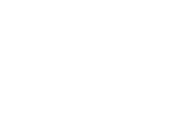 Northern Edge IT Consulting